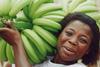 Ghana bananas