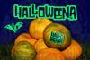 FLIA 2025_Genesis Fresh_Halloweena_RGB