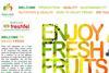 Enjoyfresh Freshfel website