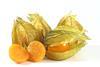 physalis