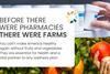 New IFPA campaign