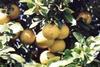 Florida growers need to move on