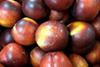 Peach and nectarine growers get extra aid