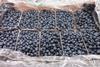 Stepac Xtend blueberries