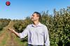 Farmer throwing apple in front of Orchard Virginia USA