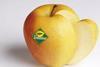 Tentation apples to tempt French