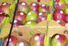 Mangoes