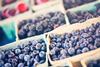 Generic blueberries in recyclable punnets Adobe