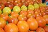 The Citrus Challenge