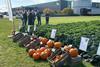 Tozer field days