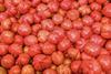 Spanish tomatoes Valencia market Adobe Stock