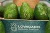 Costa Lovacado avocado laser