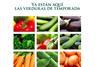 Spain vegetable leaflet