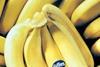 15 per cent uplift in core banana business
