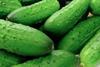 Cucumbers
