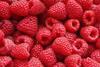 Himbeeren
