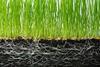 SoilPoint is all about boosting soil health