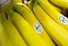 Bio-Bananen