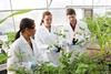 Bayer CropScience Davis California