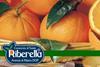 Riberella Ribera Sicily oranges
