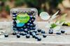 Driscolls Organic In Conversion Blueberries Credit Chloe Smith Photography