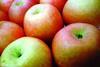 Chinese apples survive drought fears