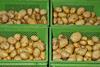 LWG: Sortenversuche mit Kartoffeln für den Bioanbau