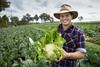 Southern Forests Food Council Gen Fresh campaign