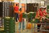 Spanien: 9,8 Mio t Obst und Gemüse exportiert