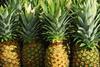 Generic pineapples