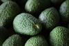 Generic Hass avocados Adobe Stock