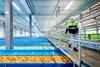 Fruitmasters Smart Fruit Hub Geldermalsen