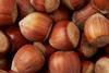 Hazelnuts Adobe Stock