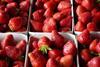 CH CREDIT Swiss Fruit Association Strawberries