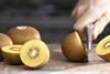 Zespri Italy SunGold chop