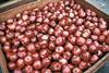 Canadian apple growers hatch new plan