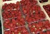 Belgian fresh produce industry puts best foot forward