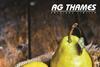 AG Thames big 50