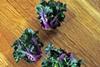 Flower Sprout