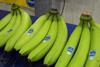 Chiquita 043