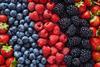 All berries are in strong growth