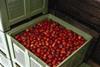 The Big Box has been a popular product