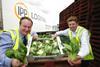 IPP Logipal and Produce World