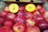 African Delight for UK retailer