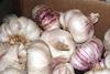 EU garlic import regulations change