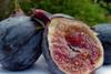Brits get a taste for the exotic