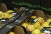 Opal Apples FPJ 50