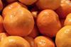 Imperial Mandarins