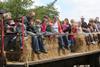 Open Farm Sunday 2013