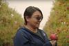 Maggie Torres, Stemilt Growers